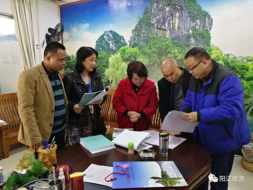 陽江迎春開門紅 歡樂祥和、平安有序、優(yōu)質(zhì)服務(wù)的旅游新氣象